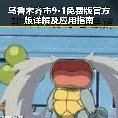 乌鲁木齐市9·1免费版官方版详解及应用指南