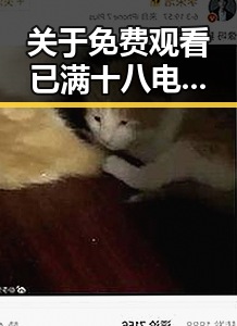 关于 免费观看已满十八电视剧免费官方版的最新动态与资源解析