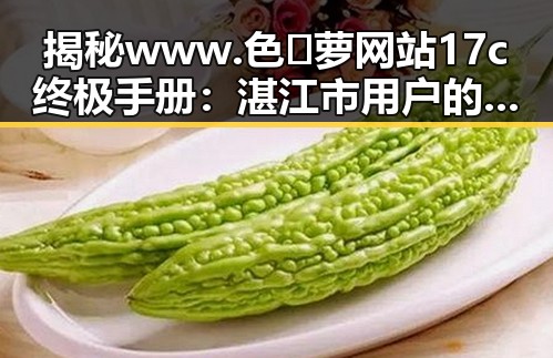 揭秘www.色😍萝网站17c终极手册：湛江市用户的全面指南