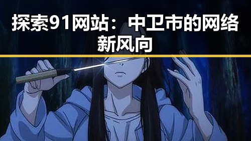 探索91网站：中卫市的网络新风向