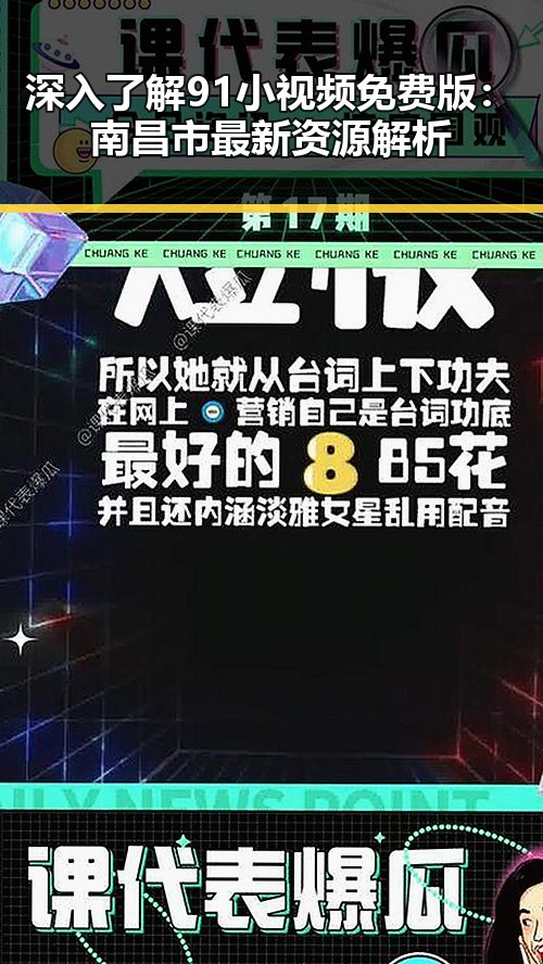 深入了解91小视频免费版：南昌市最新资源解析