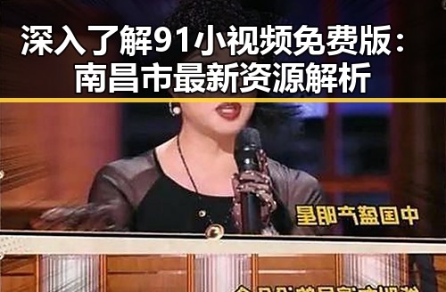 深入了解91小视频免费版：南昌市最新资源解析