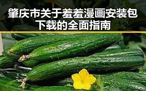 肇庆市关于羞羞漫画安装包下载的全面指南