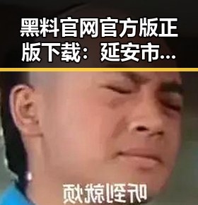 黑料 官网官方版正版下载:延安市最新资源解析