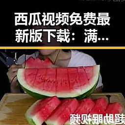 西瓜视频免费最新版下载：满足四平市用户的新需求