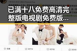 已满十八免费高清完整版电视剧免费版:探索成人内容的现状与发展