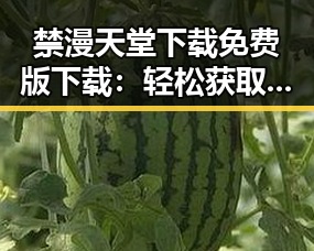 禁漫天堂下载免费版下载：轻松获取无忧体验