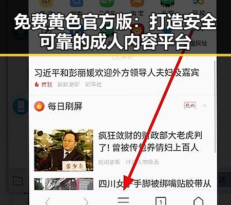 免费黄色官方版：打造安全可靠的成人内容平台