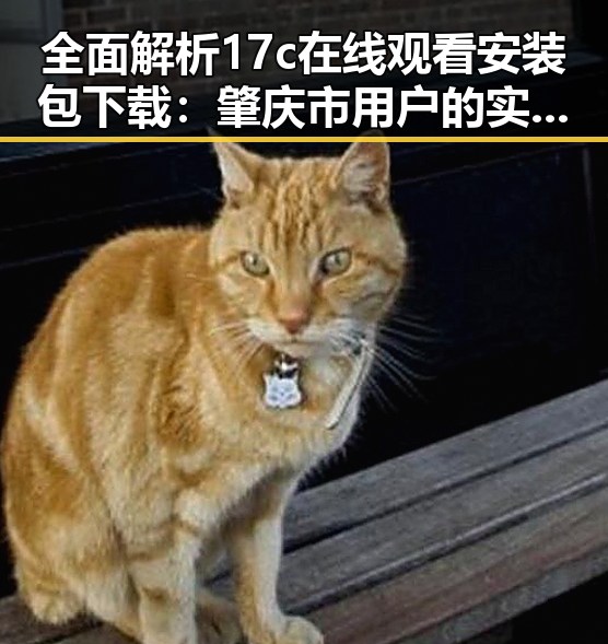 全面解析17c在线观看安装包下载：肇庆市用户的实用指南