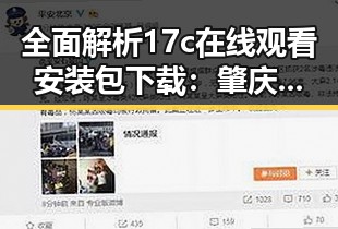 全面解析17c在线观看安装包下载：肇庆市用户的实用指南