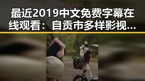 最近2019中文免费字幕在线观看：自贡市多样影视资源推荐