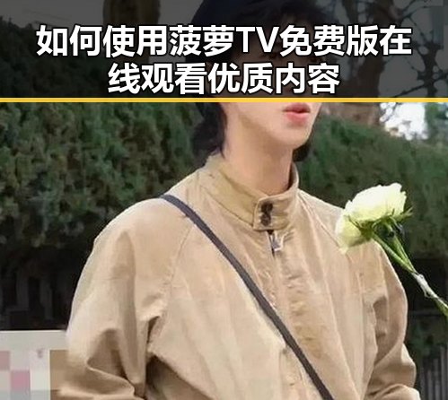 如何使用菠萝TV免费版在线观看优质内容