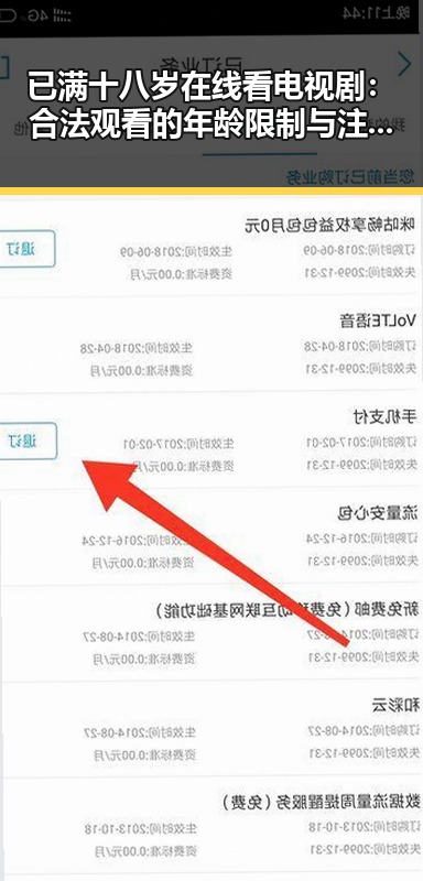 已满十八岁在线看电视剧：合法观看的年龄限制与注意事项