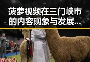 菠萝视频在三门峡市的内容现象与发展趋势