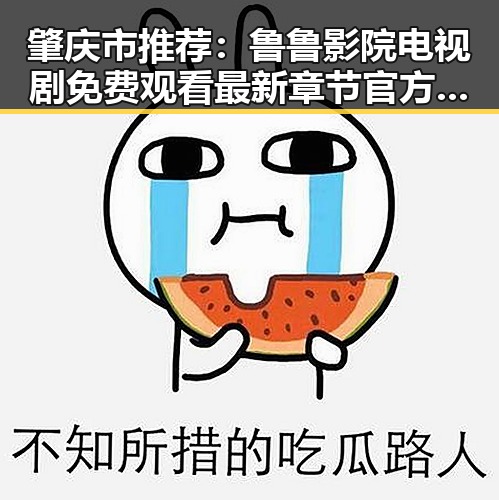 肇庆市推荐:鲁鲁影院电视剧免费观看最新章节官方版免费版指南