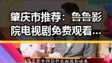 肇庆市推荐:鲁鲁影院电视剧免费观看最新章节官方版免费版指南