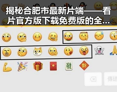揭秘合肥市最新片端——看片官方版下载免费版的全新体验