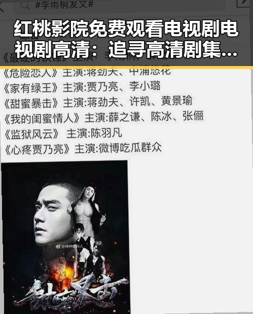 红桃影院免费观看电视剧电视剧高清:追寻高清剧集的最佳选择