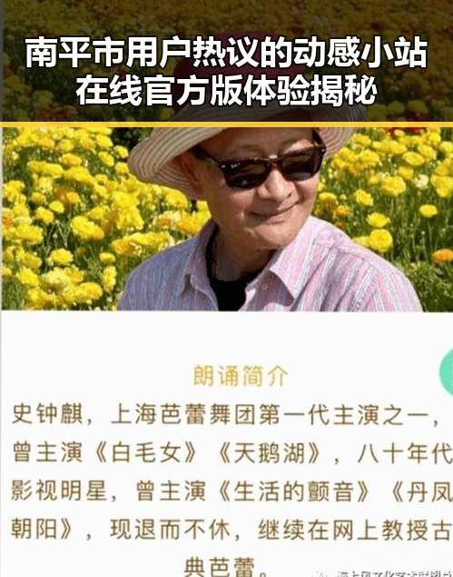 南平市用户热议的动感小站在线官方版体验揭秘