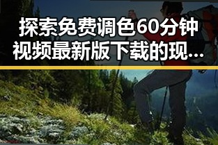 探索免费调色60分钟视频最新版下载的现状与背景