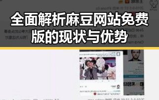 全面解析麻豆网站免费版的现状与优势