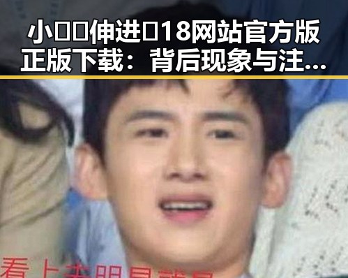 小🐔🐔伸进🈲18网站官方版正版下载：背后现象与注意事项分析