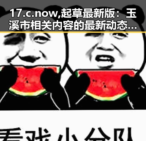 17.c.now,起草最新版：玉溪市相关内容的最新动态分析