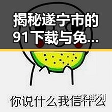 揭秘遂宁市的91下载与免费版应用，了解详细使用情况