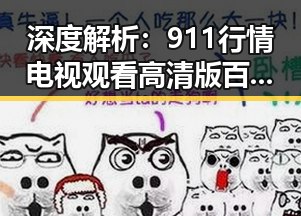 深度解析：911行情电视观看高清版百度网盘官方版的现状与发展