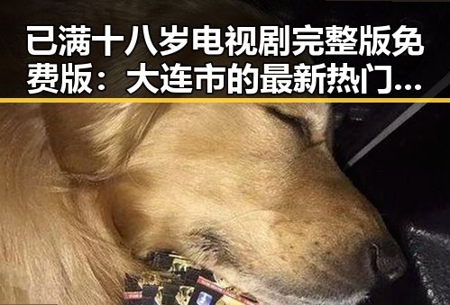 已满十八岁电视剧完整版免费版：大连市的最新热门选择