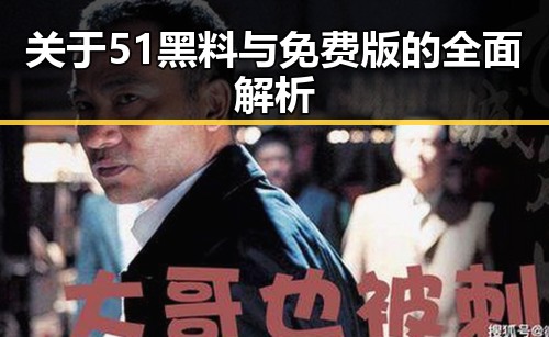关于51黑料与免费版的全面解析