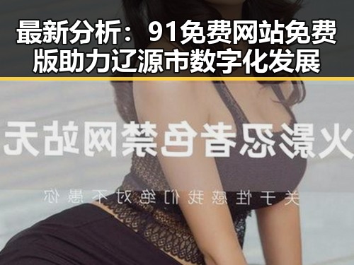 最新分析：91免费网站免费版助力辽源市数字化发展