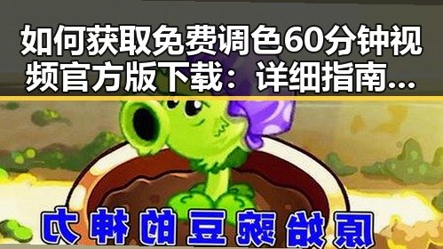 如何获取免费调色60分钟视频官方版下载：详细指南与注意事项