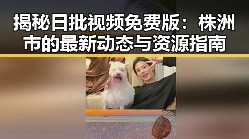 揭秘日批视频免费版：株洲市的最新动态与资源指南