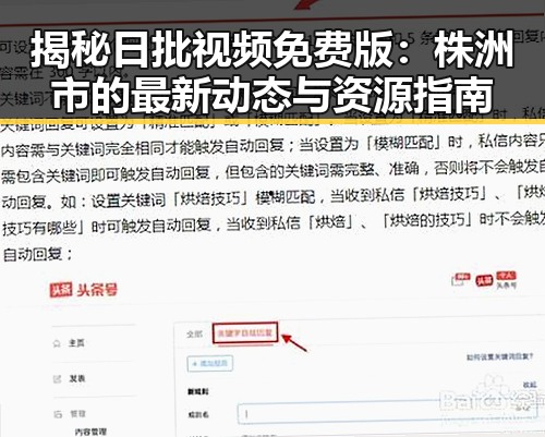 揭秘日批视频免费版：株洲市的最新动态与资源指南