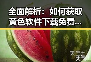 全面解析：如何获取黄色软件下载免费官方版的最新资源