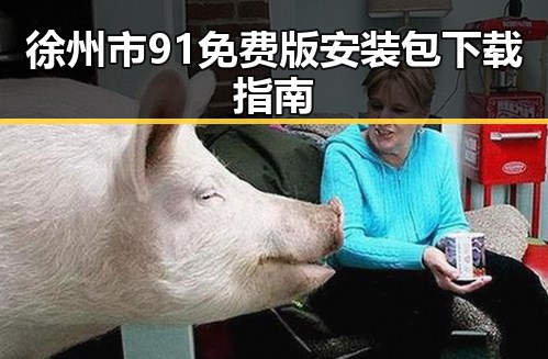 徐州市91免费版安装包下载指南