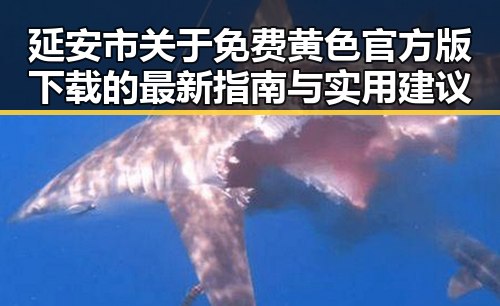 延安市关于免费黄色官方版下载的最新指南与实用建议