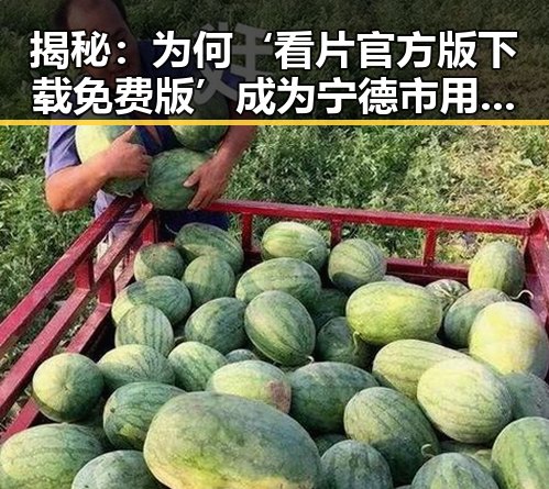揭秘：为何‘看片官方版下载免费版’成为宁德市用户的新宠？