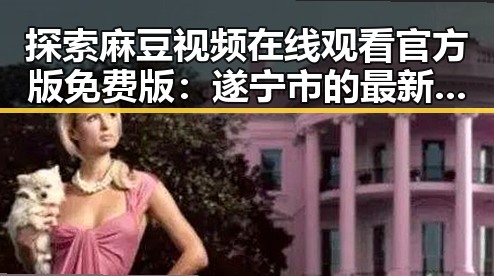 探索麻豆视频在线观看官方版免费版：遂宁市的最新娱乐动态