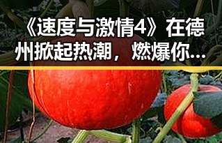 《速度与激情4》在德州掀起热潮,燃爆你的激情时刻