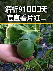 解析91❌❌❌无套直看片红桃免费版:武威市用户的新宠