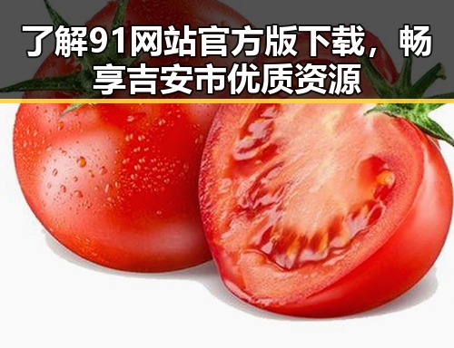 了解91网站官方版下载，畅享吉安市优质资源