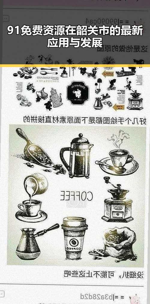 91免费资源在韶关市的最新应用与发展