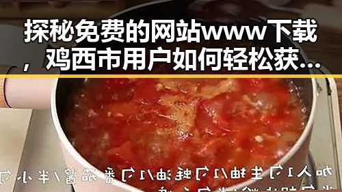 探秘免费的网站www下载,鸡西市用户如何轻松获取资源
