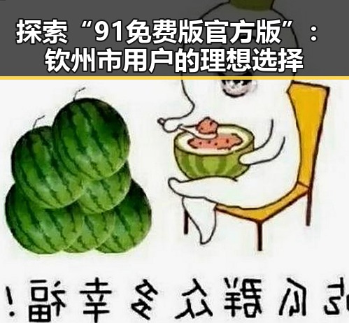 探索“91免费版官方版”:钦州市用户的理想选择