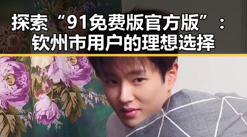 探索“91免费版官方版”:钦州市用户的理想选择