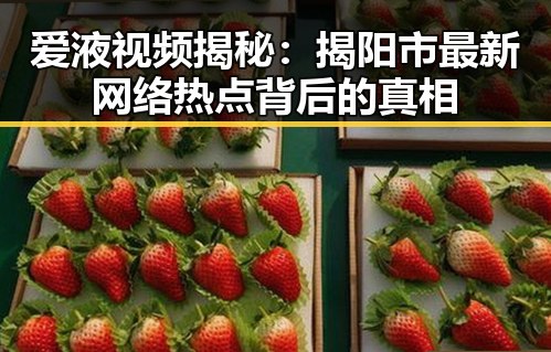 爱液视频揭秘：揭阳市最新网络热点背后的真相