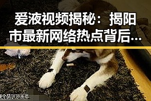爱液视频揭秘：揭阳市最新网络热点背后的真相