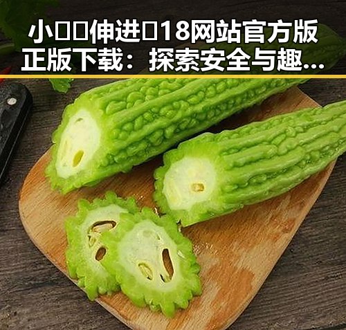 小🐔🐔伸进🈲18网站官方版正版下载：探索安全与趣味的平衡